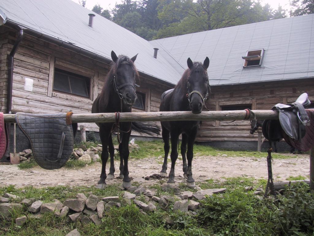 Osrodek Beskid Fizjo & Spa Korbielów Exteriör bild